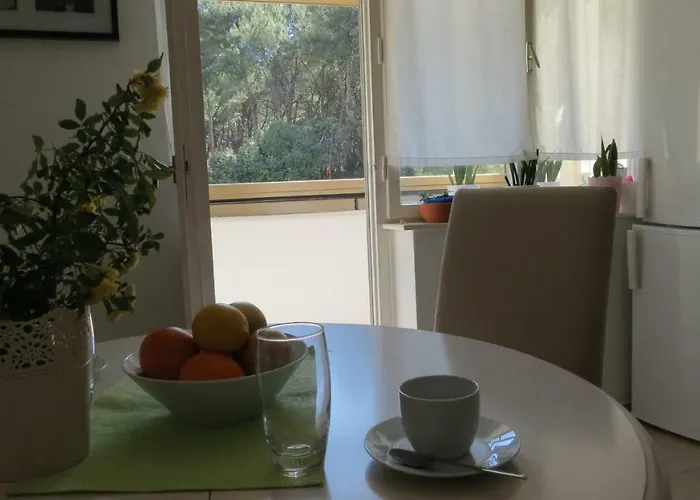 Appartement Pineta25 *