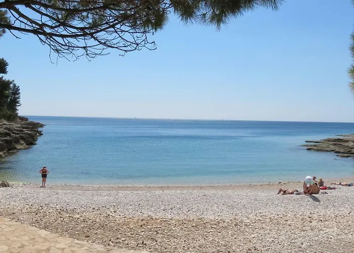 Appartement Pineta25 *